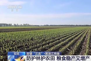 WCBA今日赛果：四川轻取北京迎8连胜 浙江击败上海